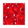 Arcos par Puca® 5x10 mm Red Coral x10g